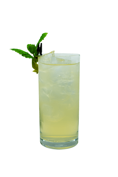 Apeiron - Lime-&-elderflower-soda